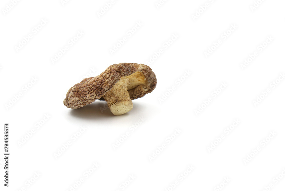 dried shiitake mushrooms isolated on white background dried shiitake mushrooms isolated on white background