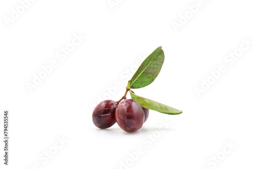 green olives on a branch