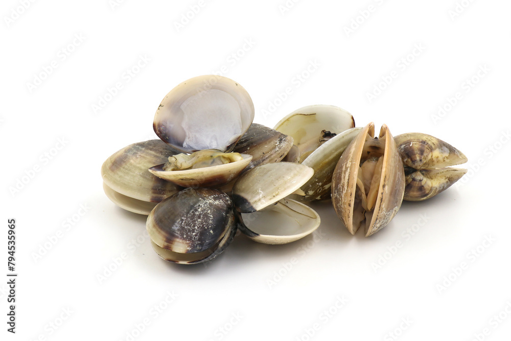 Closed up fresh baby clams, venus shell, shellfish, carpet clams, short necked clams, as raw food from the sea are the seafood ingredients. fresh clams isolated on white background. Closed up fresh baby clams, venus shell, shellfish, carpet clams, short necked clams, as raw food from the sea are the seafood ingredients. fresh clams isolated on white background.