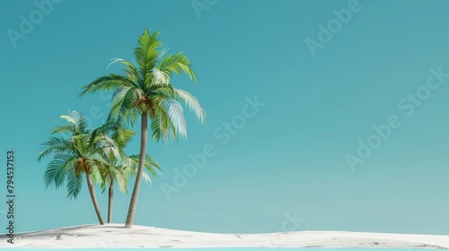 Coconut trees with beach sand on blue background. summer concept. 3d rendering