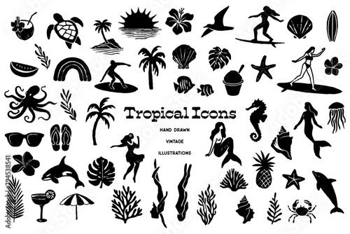 Tropical Illustrations Vintage Icon Sheet © aves