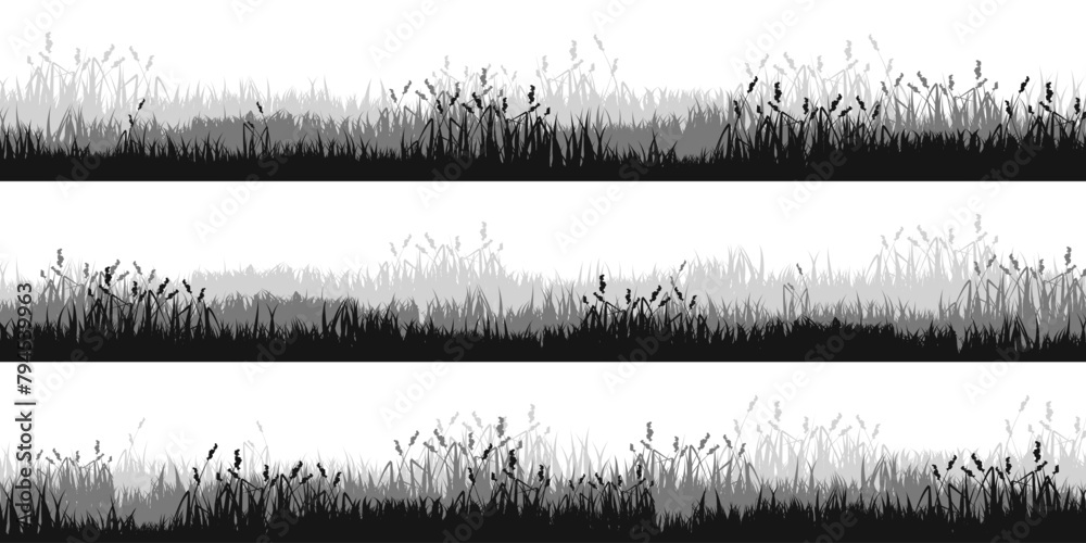 Obraz premium Meadow silhouettes with grass, plants on plain. Panoramic summer lawn landscape with herbs, various weeds. Herbal border, frame. Nature background. Black horizontal banner. Vector illustration