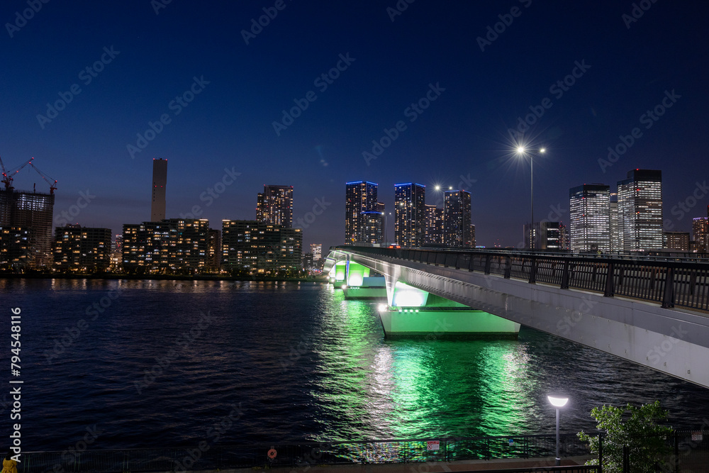 Fototapeta premium 豊洲大橋 夜