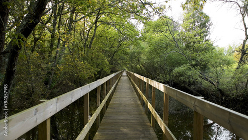 Wooden pathway in Lagoas de Bertiandos photo