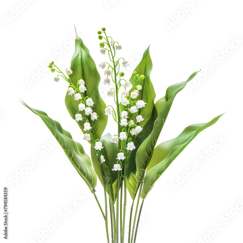 A cluster of delicate lilies of the valley blooms stands out against a transparent background