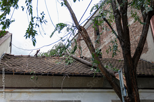 Tile roof damaged by a fallen tree. Roof damage from tree that fell over during hurricane storm. photo