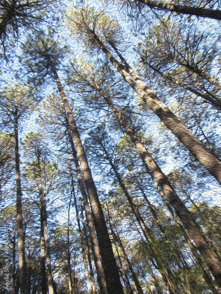 Fototapeta premium brush strokes in the sky