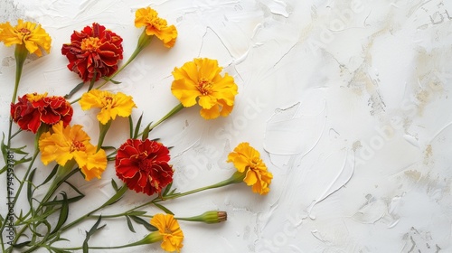 Bright yellow and red marigolds displayed against a white backdrop with space for text