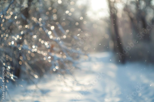 blurred photograph of winter. outoffocus photograph