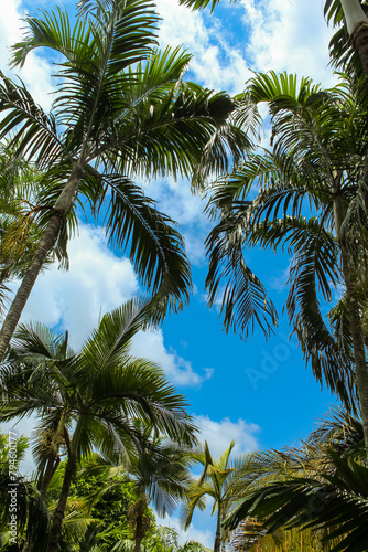 Wallpaper Mural Nongnooch Garden, the world class of elegant tropical botanical garden Torontodigital.ca