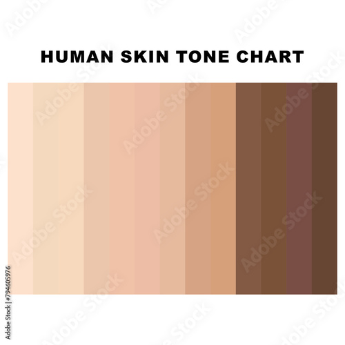 Collection Color palette chart, Skin tones. Flat illustration. Skin color infographics. Vector icon. Human skin tone. Abstract concept person face,body complexion graphic element for cosmetics. Health