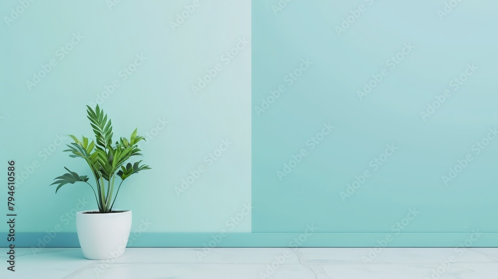 a plant in a white pot on a table against a blue wall