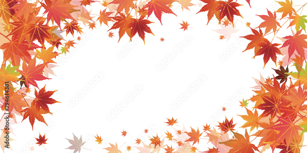 Fototapeta premium 紅葉 葉 秋 背景 