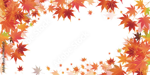 紅葉　葉　秋　背景	