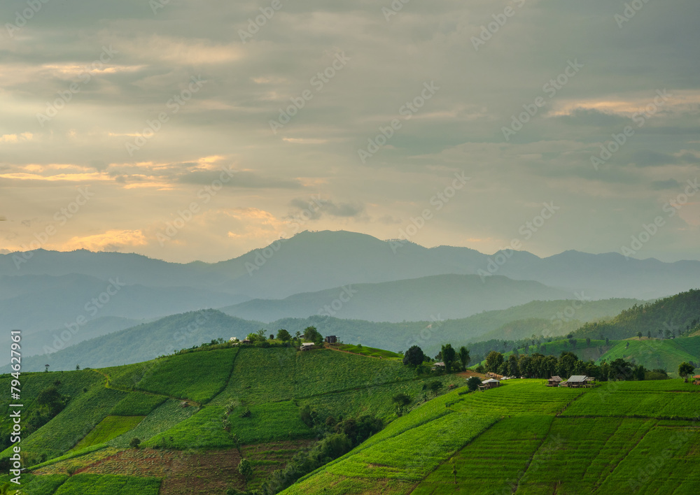 Obraz premium landscape panorama view beautiful scenery looking rice field fog green tree forest Mountain hill natural blue sky cloud horizontal distant countryside thailand asia travel holiday wind relax dawn time