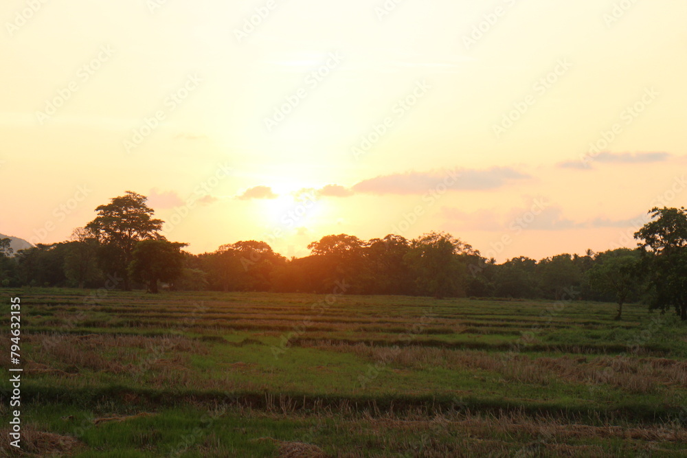 Fototapeta premium sunset sky with clouds.