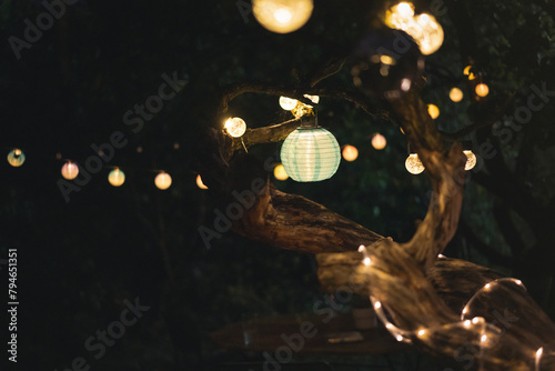 Glowing solar-powered lanterns on a tree in the garden, garden plot decoration design