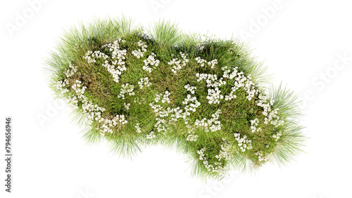 Top view of 3D render various types of flowers grass bushes shrub and small plants on transparent background