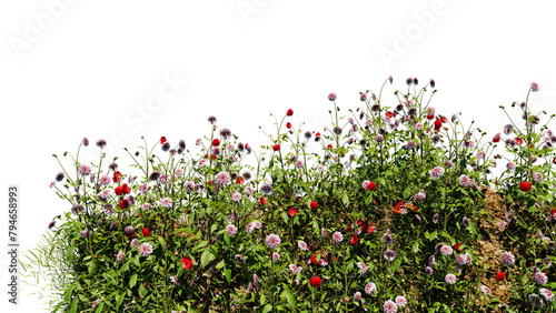 3D render various types of flowers grass bushes shrub and small plants on transparent background
