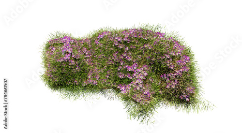 Fototapeta Naklejka Na Ścianę i Meble -  3D render various types of flowers grass bushes shrub and small plants on transparent background
