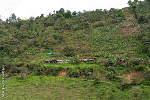 farmer's house on a mountain with crops around. Colombia.
