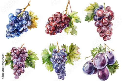 A bunch of watercolour grapes isolated on a transparent background