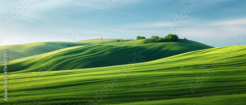 green land with blue sky in background © AhmadSoleh