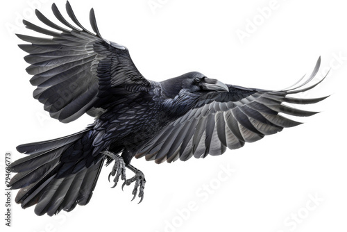 A raven glides, intelligence in its eyes