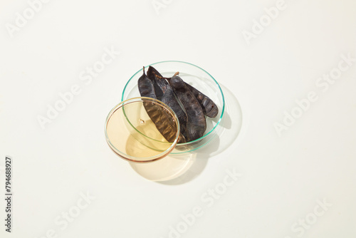 Top view at a glass petri dish contains some locust fruit with petri dish filled by yellow liquid placed above, white texture. Space for displaying or presentation photo