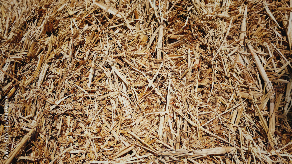 Dry straw texture background with a dark orange-brown gradient. For backdrops, banners, decorations, summer, scenes, nature. Dry straw texture background with a dark orange-brown gradient. For backdrops, banners, decorations, summer, scenes, nature.