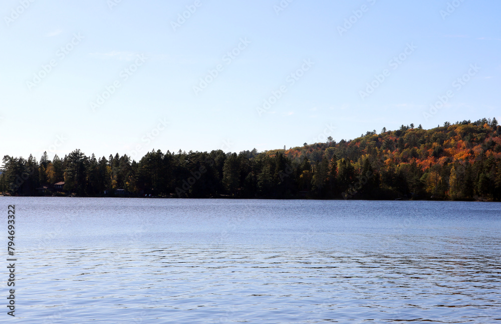 lake in the woods lake in the woods