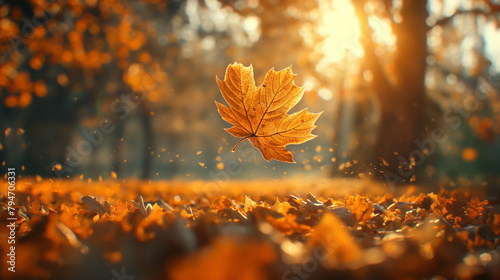 Image of oak leaves swirling to the ground, autumn