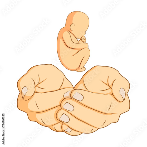 Vector illustration of foetus in hands on transparent background