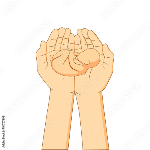 Vector illustration of foetus in hands on transparent background
