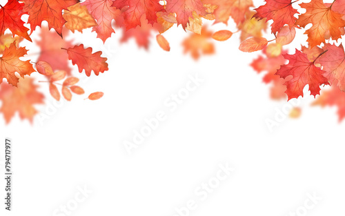 Autumn falling leaves frame. Autumnal foliage fall and orange maple and oak leaves flying in wind motion blur on white background. Copy space © Elena
