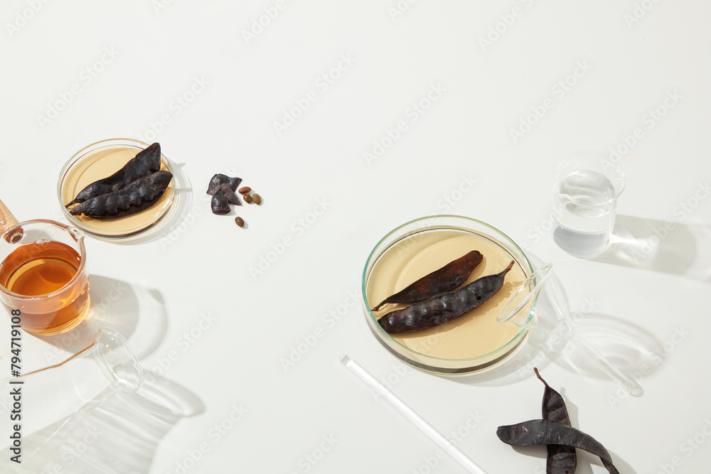 Lab theme on white texture from above view, different type of lab glasses flat lay on table decorated by black locust fruits and locust extract, vacant space for adding text or elements of design