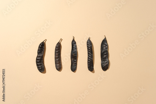 Flat lay light pink background against some black locust fruits. From above view photo with blank space for designing advertise of product extract from black locust photo