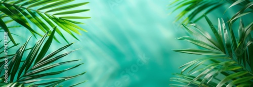 Tropical leaves on a turquoise background with copy space