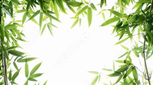 bamboo frame isolated on white, photo frame, bamboo tree, white background, Generative Ai.