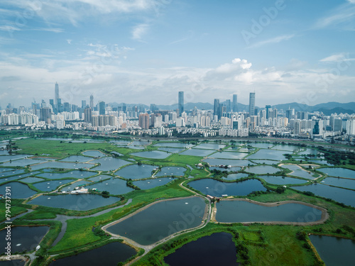 Aerial view of rural green fields with fish ponds on Hong Kong and the skylines of Shenzhen © lzf