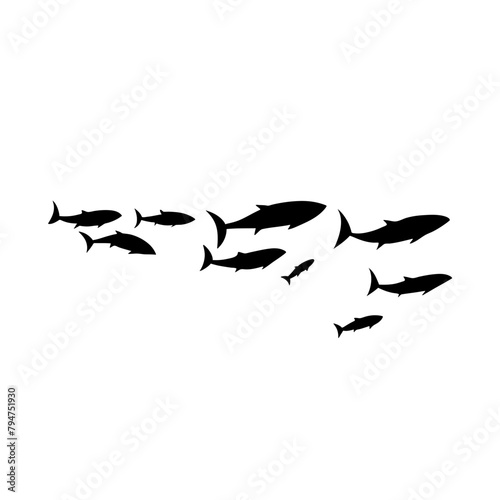 School tuna fish swims