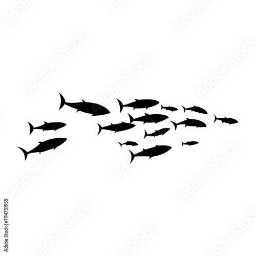 School tuna fish swims