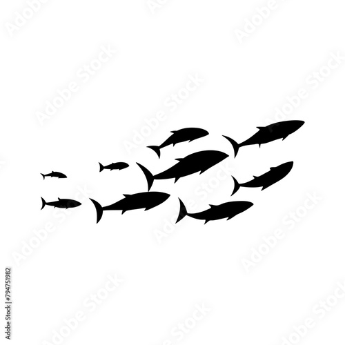School tuna fish swims