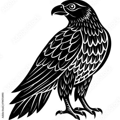 Ra-falcon-silhouette - Vector - Vector art - Vector illustration - Vector design - Latest Vector - Ultimate Vector - Premium Vector - Vector pro - Premium illustration photo