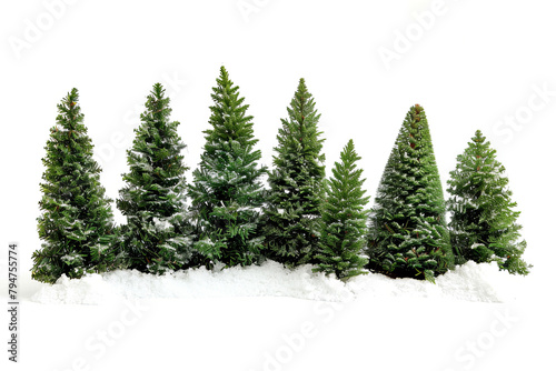 Christmas scene featuring a cluster of evergreen trees photo
