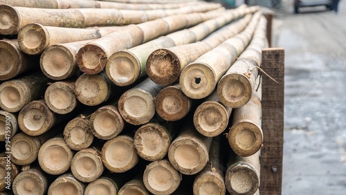 A pile of bamboo poles with holes in the middle.