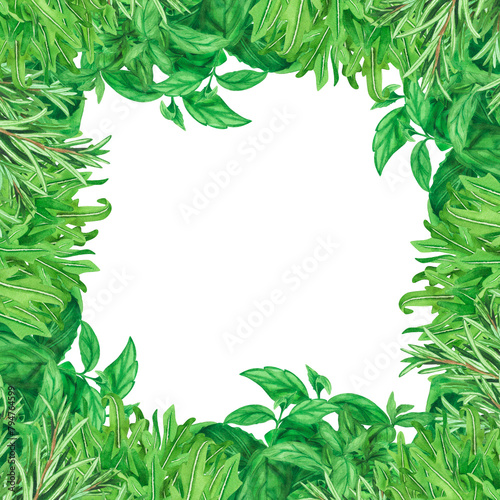 Green aroma leaves Frame with fresh herb, basil, rosemary isolated on white background. Watercolor hand drawn botanic sketch illustration. Art design cooking design, menu, decoration, stylish graphic.