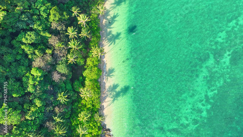 Aerial view of a stunning tropical island with lush greenery, sandy beaches, and swaying coconut palms. Perfect weather. Ecotourism and biodiversity concept. Ko Chang, Trat Province, Thailand. 
