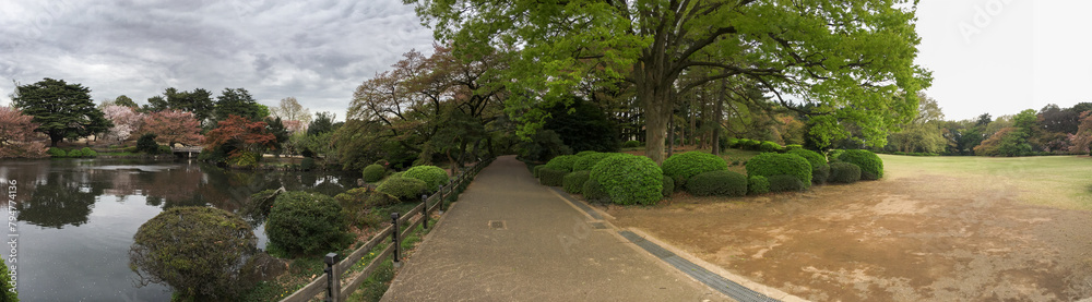Panoramic view standing on a gravel path leading to trees, surrounded by pond and grassy clearing in a park in Tokyo, Japan