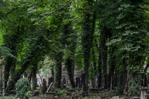 Jewish cemetery in Katowice, Kozielska 16, July 2023